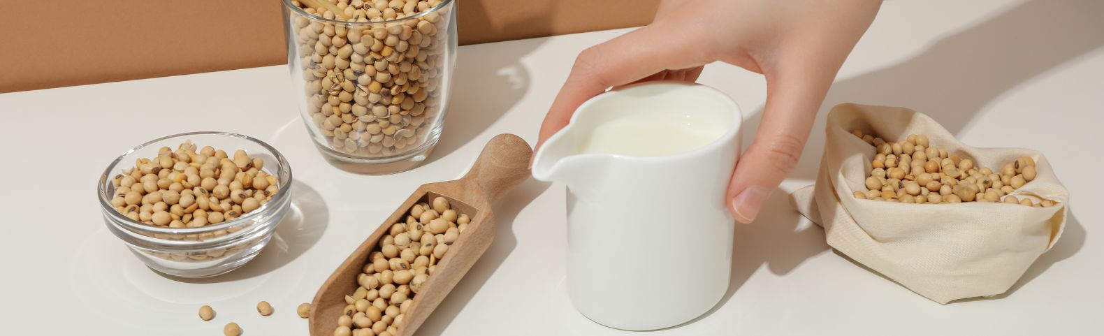 Jak zrobić „mleko” sojowe i migdałowe w wyciskarce wolnoobrotowej Hurom?